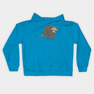 Raccoon Kids Hoodie